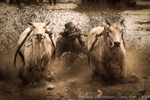 Bull Racing
