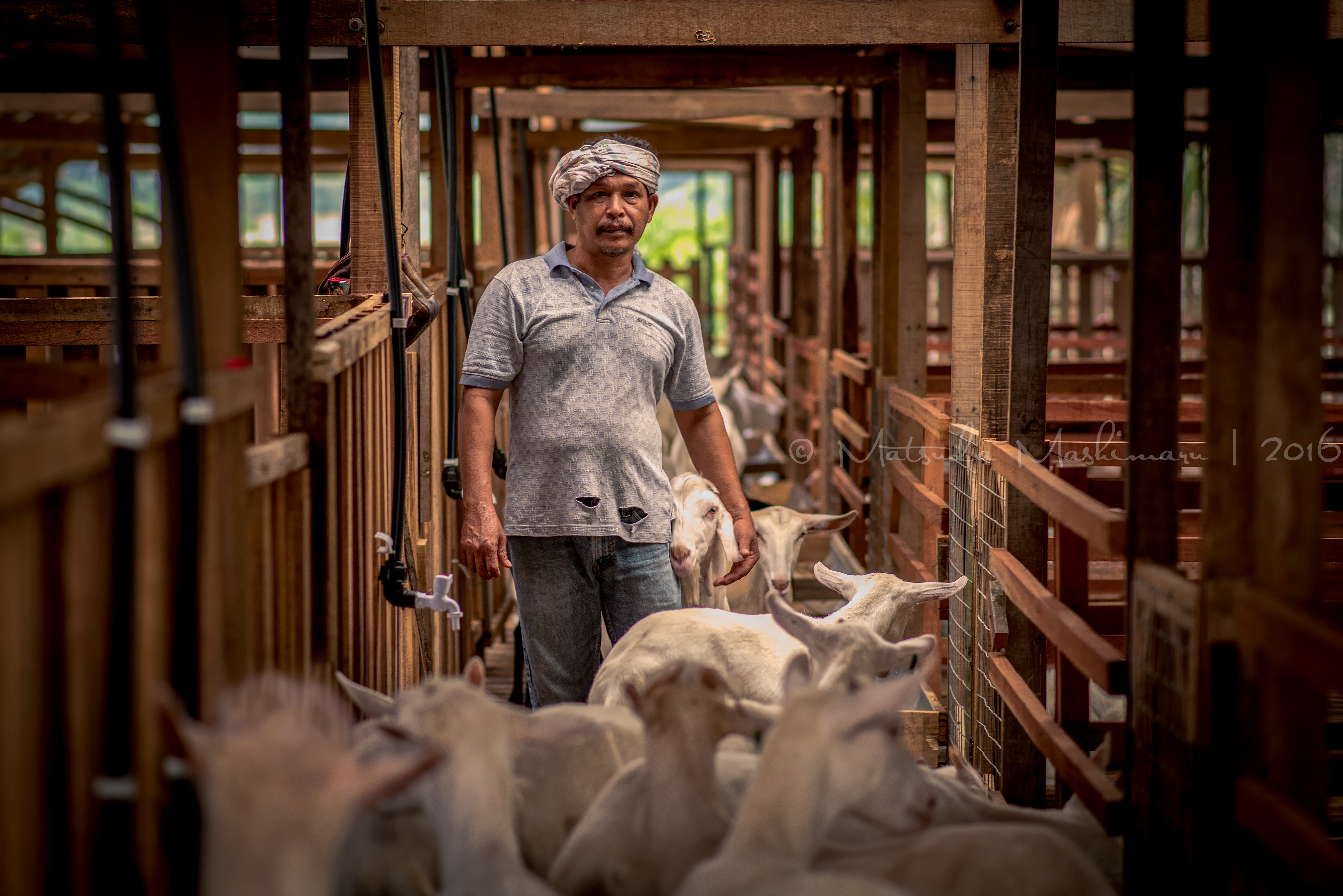 MYS_2893-Edit-2-Edit