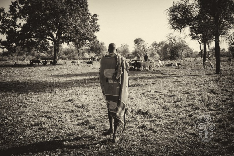 _ETF3725-Edit-Edit-Edit-Edit