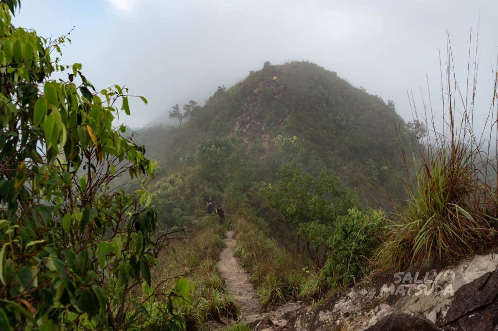 Hiking Bukit Berekeh – MATSUDA MASHIMARU