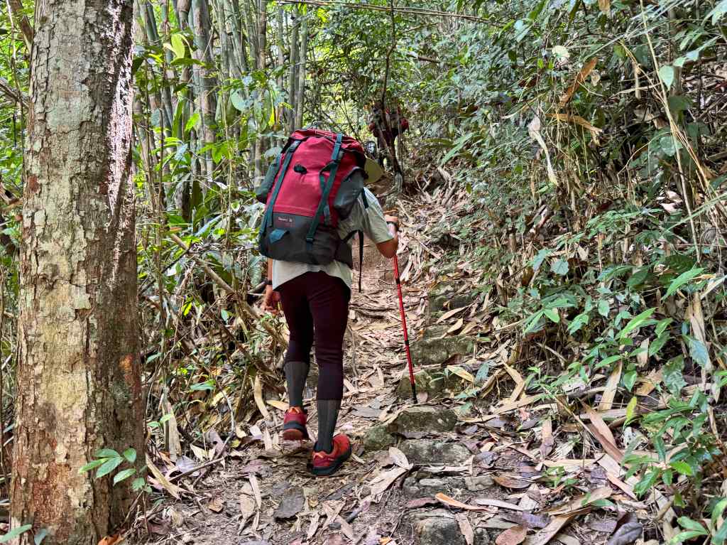 A hiker ascending a narrow trail in a dense forest, carrying a large backpack and using a trekking pole.